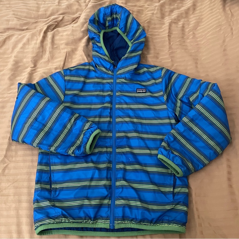 Patagonia Kids Striped Hoodie in Blue and Green